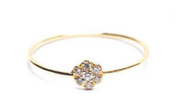 Feathered Soul | #Gazer